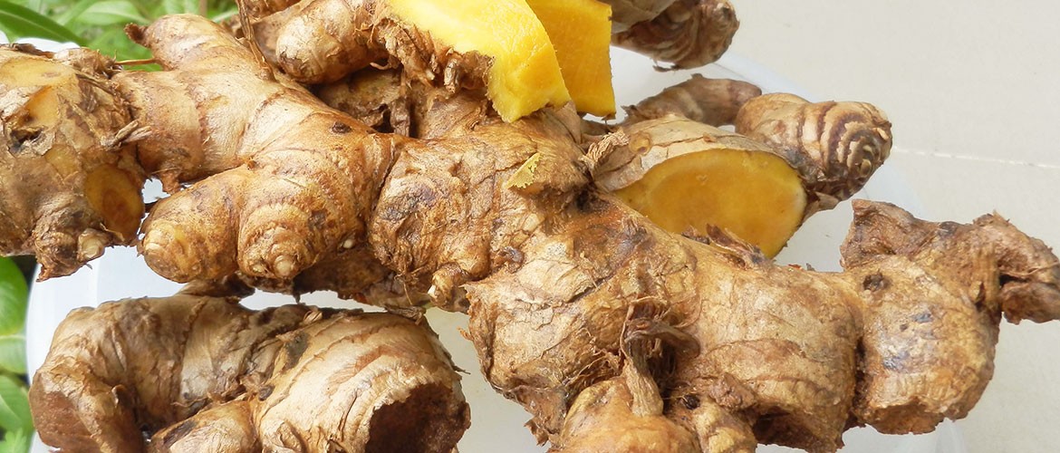 Shunthi (Zingiber officinale) in agnikarma-supported management of vata-kapha musculoskeletal disorders